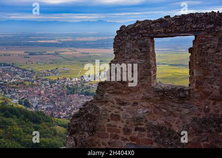 Ruinen des Château du Girsberg in den Vogesen bei Ribeauvillé im Elsass, im Hintergrund die Rheinebene zwischen dem Elsass und dem Elsass Stockfoto