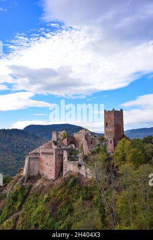 Ruine des Château de Saint-Ulrich (Ulrichsburg) in den Vogesen bei Ribeauvillé im Elsass, Departement Haut-Rhin, Region Grand Est, Frankreich, Europa Stockfoto