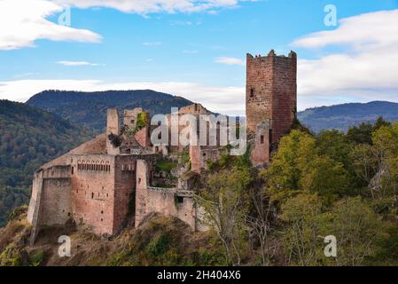 Ruine des Château de Saint-Ulrich (Ulrichsburg) in den Vogesen bei Ribeauvillé im Elsass, Departement Haut-Rhin, Region Grand Est, Frankreich, Europa Stockfoto