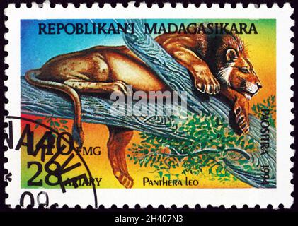 MALAGASY - UM 1994: Eine auf Madagaskar gedruckte Marke zeigt den Löwen (panthera leo), ein wildes Tier, um 1994 Stockfoto