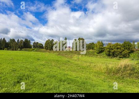 Naturpark an einem Sommertag in der Stadt Mozhaysk. Russland Stockfoto
