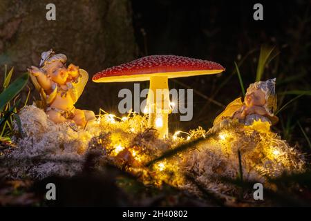 Fantasy Magische Pilze und Elfen im verzauberten Märchen verträumter Elfwald mit fabelhaftem Märchenmoos und Lichtern auf Mysterio Stockfoto