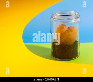 Herzförmige Kartoffeln in einem Glas auf gelbem, blauem und grünem Hintergrund Stockfoto