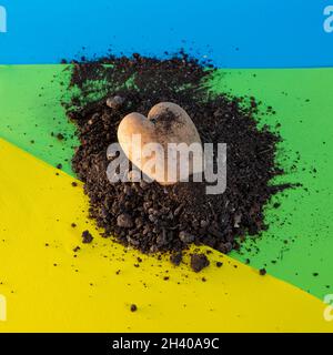 Herzförmige Kartoffeln in einem Glas auf blauem, grünem und gelbem Hintergrund Stockfoto