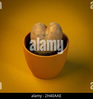 Herzförmige Kartoffeln in einem Topf auf braunem Hintergrund Stockfoto