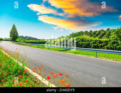 Asphaltstraße auf dem Land und Grüntee-Plantagen mit natürlicher Berglandschaft in Hangzhou bei Sonnenaufgang. Stockfoto