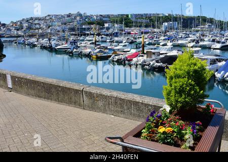 Ein farbenfroher Blick auf die vielen Vergnügungsboote, die in der Sicherheit der Brixham Marina festgemacht sind. Stockfoto