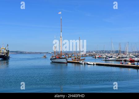 Blick über den Hafen von Brixham in Richtung Torquay. Aufgrund einer Pandemie vertäuten die Kreuzschiffe in der Bucht. Stockfoto