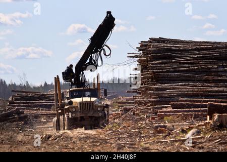 Vorgänge zum Verladen eines Logging-Staplers Stockfoto