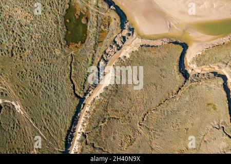 Vue aérienne de la baie de Somme, Frankreich, Somme (80), Le Crotoy Stockfoto