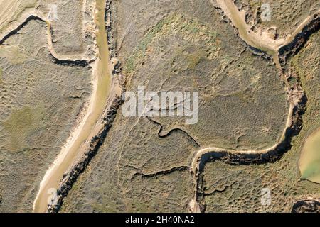 Vue aérienne de la baie de Somme, Frankreich, Somme (80), Le Crotoy Stockfoto