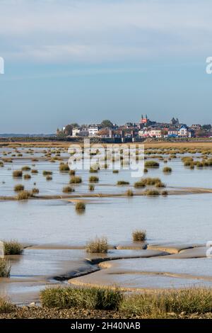 Spartine sur la Plage du Crotoy à marée basse, frankreich, Baie de Somme. La baie de Somme est colonisée depuis de nombreuses années par la Spartine Stockfoto