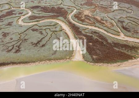 Les mollières (Prés salé) du Cap Hornu à marée basse (vue aérienne), Frankreich, Somme (80), Baie de Somme, Cap Hornu, Saint-Valery-sur-Somme, Stockfoto