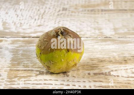 Unfrische reife Bio-faule Quitte auf grauem Holztisch aus nächster Nähe Stockfoto