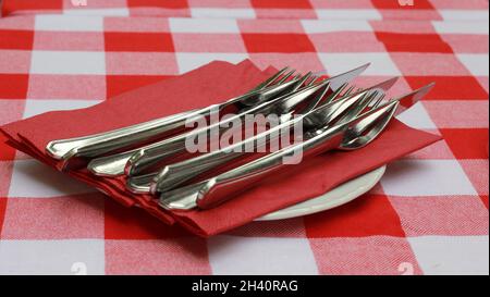 Die Messer und Gabeln mit einer roten Serviette auf einem Teller auf einer karierten Tischdecke Stockfoto