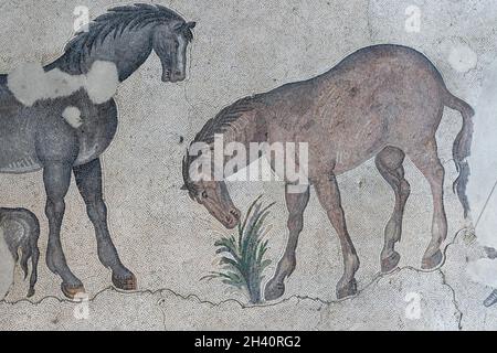 ISTANBUL, TÜRKEI - 17. JULI 2021: Szene mit Pferden, die Gras fressen, das mit Mosaiksteinen gemacht wurde, im Museum of Great Palace Mosaics, wo byzantinische Zeit war Stockfoto