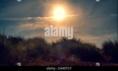 Niedrige Sonne über Sanddünen Stockfoto