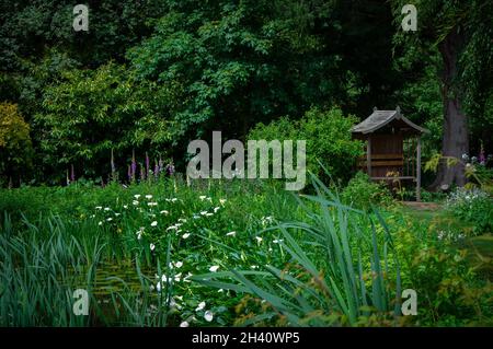 Eine Gartenlaube, eingebettet zwischen hohen Sommerblumen in einem Wassergarten Stockfoto