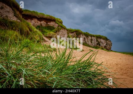 Niedrige Klippen und Dünen blicken auf einen idyllischen Sandstrand unter einem bewölkten Himmel mit Gras im Vordergrund Stockfoto