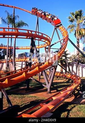 Der Skorpion Roller Coaster Ride, Freizeitpark Busch Gardens, Tampa, Florida, USA. Stockfoto