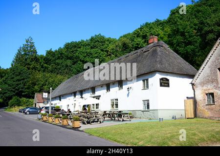 Blick auf die Hambro Arme entlang der wichtigsten Dorfstraße, Milton Abbas, Dorset, England, Vereinigtes Königreich, West-Europa. Stockfoto