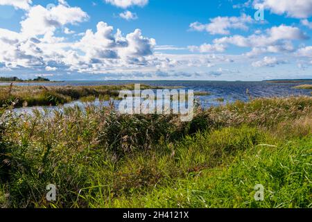 Haapsalu erstaunliches Dorf in Estland Stockfoto