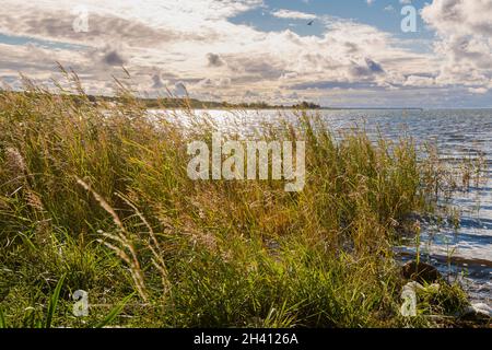 Haapsalu erstaunliches Dorf in Estland Stockfoto