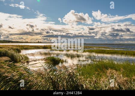 Haapsalu erstaunliches Dorf in Estland Stockfoto