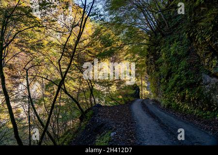Ländliche Straße in den herbstlichen Wald und Berge Morgenzeit. Okutama Japan Stockfoto