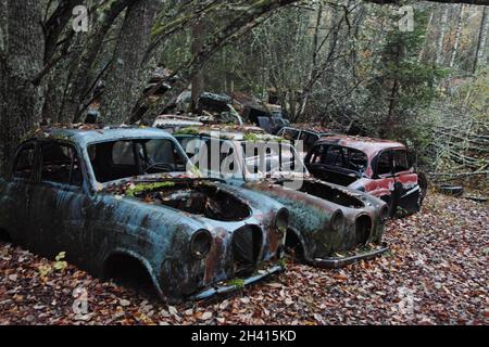 Bastnäs Autofriedhof im Oktober Stockfoto