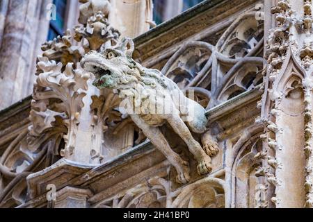Groteske Wasserspeier-Skulptur an der Fassade des gotischen mittelalterlichen Stephansdoms oder Stephansdom in Wien, Österreich Stockfoto