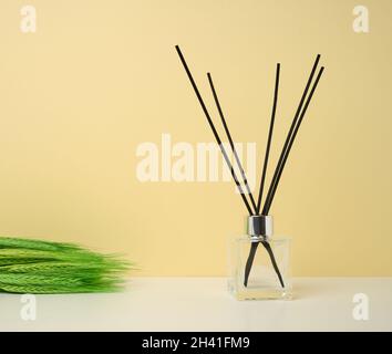 Glaskolben und Holzstäbchen, Duftlampe auf farbigem Hintergrund Stockfoto