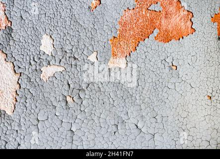 Alte rissige graue Farbe, die sich vom Hintergrund der Wandstruktur abblättert. Nahaufnahme von gerissenen Farben. Stockfoto