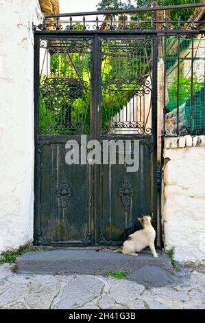 Altes und verwittertes Metalltor mit gusseiserner Dekoration Altstadt von Xanthi, nördlich von Griechenland Stockfoto