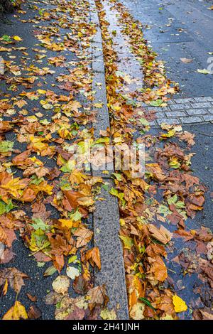 WIMBLEDON LONDON, GROSSBRITANNIEN. Oktober 2021. Ein Fußweg, der mit herbstlichen Blättern bedeckt ist. Kredit: amer ghazzal/Alamy Live Nachrichten Stockfoto