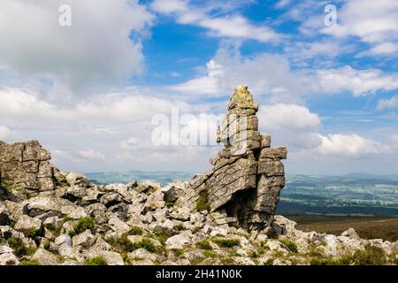 Manstone Rock Quarzit-Aufschluss entlang des Stiperstones Hill Summit Ridge. Shropshire, England, Großbritannien. Die Stiperstones sind ein nationales Naturreservat Stockfoto