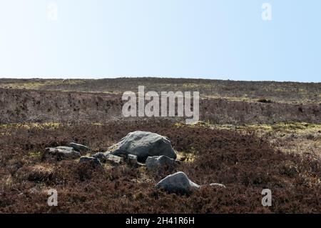 Pennine Moorlandschaft mit großen alten Felsbrocken und Steinen auf midgley Moor in West yorkshire Stockfoto