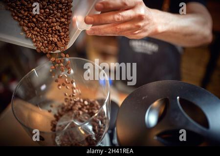 Nahaufnahme von Barkeeper-Händen, die einen Behälter halten und duftende und aromatische Kaffeebohnen in einen Mahlwerk-Apparat gießen. Kaffee, Getränke, Produktion Stockfoto