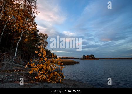 Insel im Monrepo (Mon Repos) Park. Herbstlandschaft. Vyborg. Stockfoto