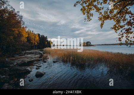 Insel im Monrepo (Mon Repos) Park. Pampagras. Herbstlandschaft. Vyborg. Stockfoto