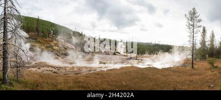 Steaming Mud Pod Area im berühmten Yellowstone National Park, USA Stockfoto