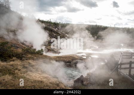 Steaming Mud Pod Area im berühmten Yellowstone National Park, USA Stockfoto