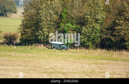 Der Land Rover Defender 110 parkte auf einem Rasenplatz mit angrenzendem Copse und nahm Hunde für ihren täglichen Übungsweg mit, Wiltshire UK Stockfoto