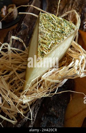 Scheibe Pecorino-Käse mit Berghay, im herbstlichen Hintergrund auf Stroh Stockfoto