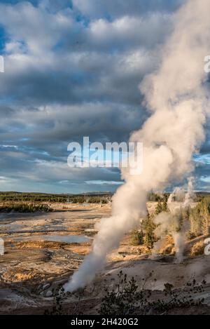 Steaming Mud Pod Area im berühmten Yellowstone National Park, USA Stockfoto