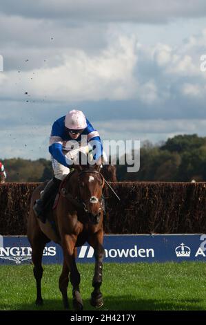 Ascot, Bergen, Großbritannien. 30. Oktober 2021. Jockey Lorcan Williams reitet auf dem Pferd Solo im Ascot Underwriting Steeple Chase. Quelle: Maureen McLean/Alamy Stockfoto