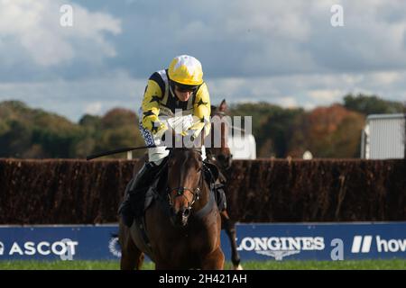 Ascot, Bergen, Großbritannien. 30. Oktober 2021. Jockey Rex Dingle Rennpferd Kid Commando in der Ascot Underwriting Kirchturm Chase. Quelle: Maureen McLean/Alamy Stockfoto