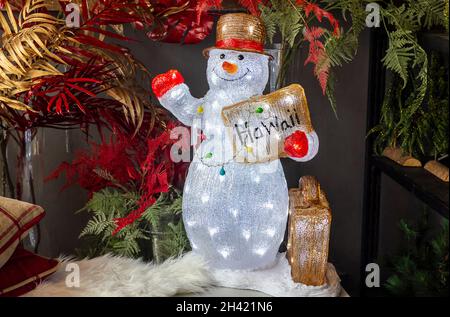 Schöner glühender Schneemann mit einer Brust und der Inschrift Hawaii. Weihnachten Stockfoto
