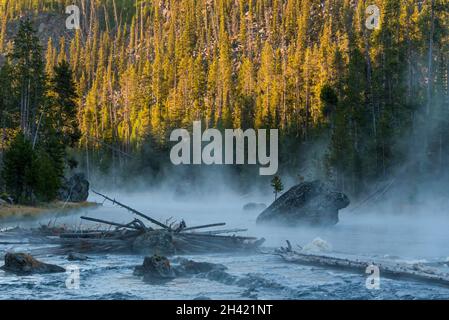 Am frühen Morgen, an einem ruhigen Fluss, steigt der Nebel auf, Yellowstone National Park, USA Stockfoto