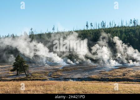 Dampfende Schlammtöpfe am frühen Morgen im Yellowstone National Park, USA Stockfoto